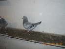 DSCN0207