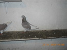 DSCN0208