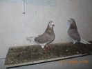 DSCN0209