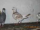 DSCN0219