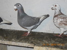DSCN0220