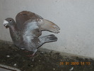 DSCN0223
