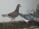 DSCN0224