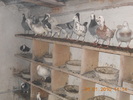 DSCN0228