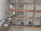 DSCN0229