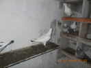 DSCN0245