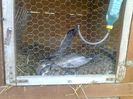 received_694679007336078