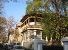 tot I B - dardiferit vila Adina Costescu
