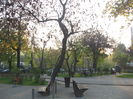 odihna dupa aprox 6 km  -  in parcul Ioanide