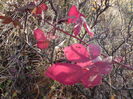 DSC01266