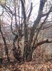 DSC01268