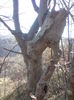 DSC01270