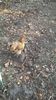 IMG-20151108-WA0014