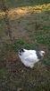 IMG-20151108-WA0017