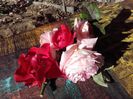 20151114_105108