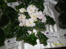 SAM_2201