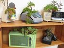 old-phone-planters