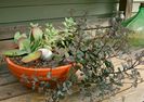 82-Creative-Container-Gardens-Ideas