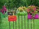 Hang-bags-an-Economical-way-to-Container-Gardening