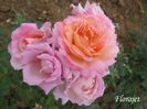 Florajet