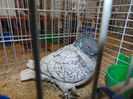 DSC02738