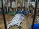 DSC02741