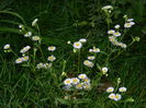 DSCN3763