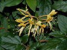 DSCN3768