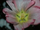 DSCN3777