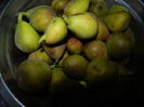 DSCN3786