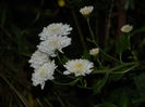 DSCN3796