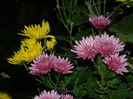 DSCN3799