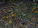 DSCN3802
