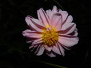 DSCN3820
