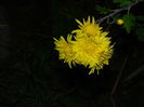 DSCN3825