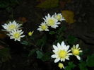 DSCN3829