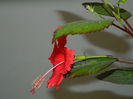DSCN3842