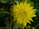 DSCN3859
