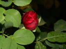 DSCN3862