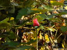DSCN3880