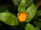 DSCN3883