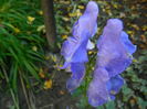 DSCN3890