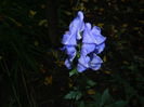 DSCN3891