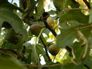 DSCN3894