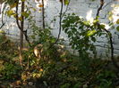 DSCN3926