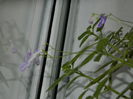 DSCN3936