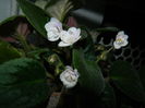 DSCN3944