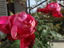DSC00823