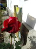 DSC00825