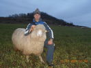 Picture 1268